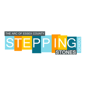 Team Stepping Stones